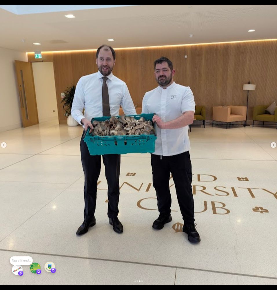 Oyster mushrooms grown at Greenacre being delivered to the UCD University Club