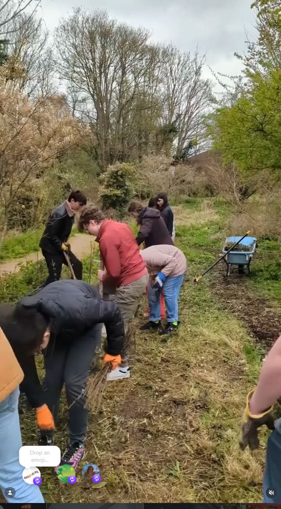 Students planting an urban hedgerow at Greenacre