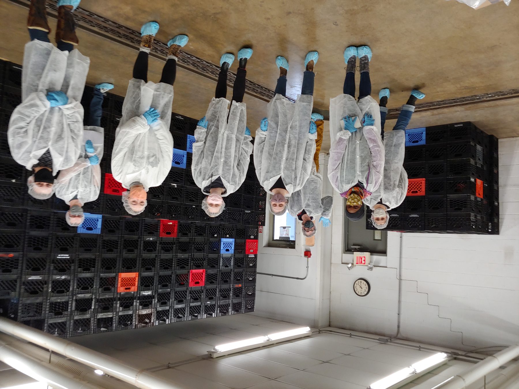 A student team in protective coats, hairnets and gloves inside a dairy processing plant